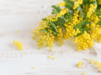 3月はミモザと一緒に♡かわいい成長フォトを撮ろう！｜べびーぷらす