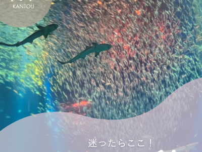 【関東のお出かけ】子連れにおすすめスポット14選！迷ったらここ【2025年最新】