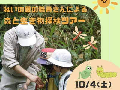 今月は森と生き物探検ツアー！いこいの村にて月イチ開催！自然体験とマルシェが一度に楽しめる「まめまるしぇ」