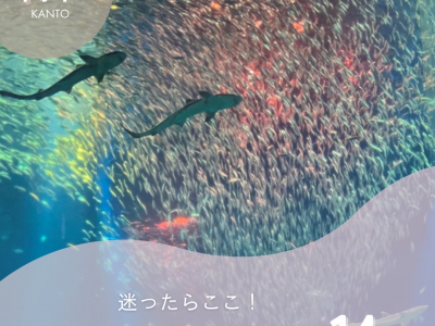 【関東のお出かけ】子連れにおすすめスポット14選！迷ったらここ【2024年最新】