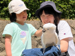 足羽山公園遊園地