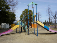 野田中央公園