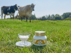 磯沼ミルクファーム