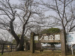鴻ノ池公園