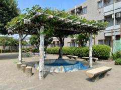 下連雀しらかば児童公園