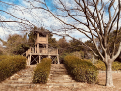 御殿山広場