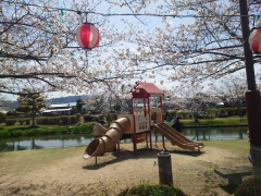 ひょこたん池公園