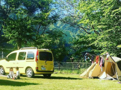 ルノー富山