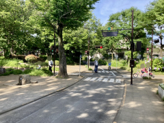 大泉交通公園