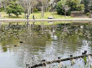 せせらぎ公園