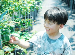 ブルーベリーファーム東京