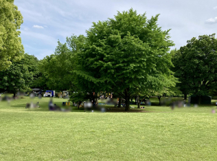 武蔵国分寺公園