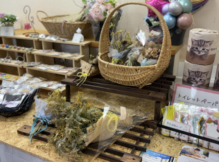 みんなのヒミツキチぴーす