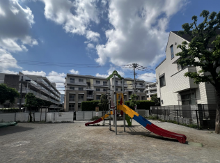 中野区立柏公園