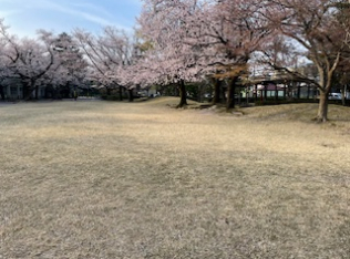 五福公園｜富山　公園