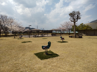 おおい町総合運動公園　プレーパーク大飯