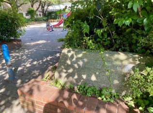 ひばりが丘公園