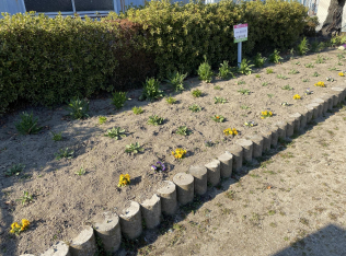 大海町公園