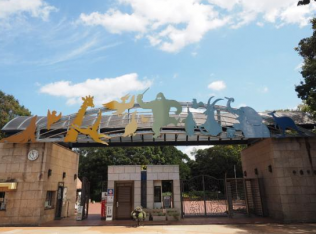 千葉市動物公園