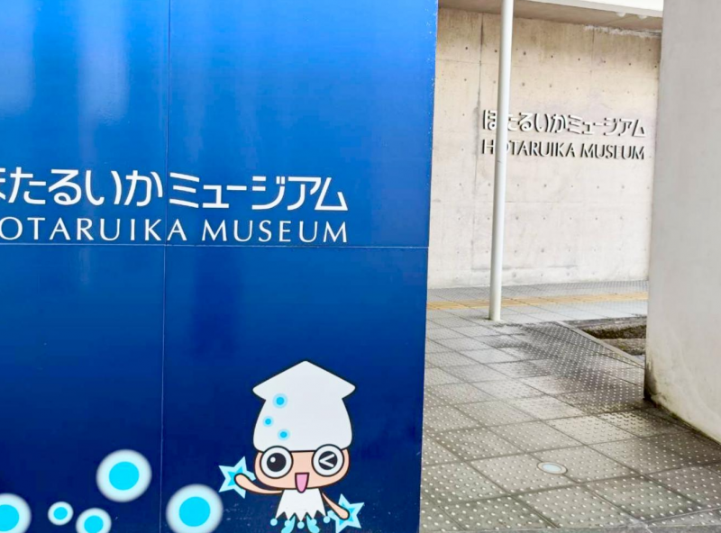 ほたるいかミュージアム