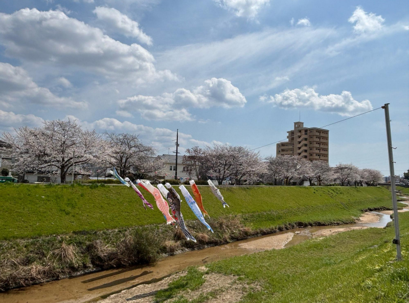 新庄公園