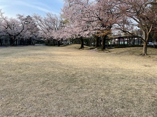 五福公園｜富山　公園