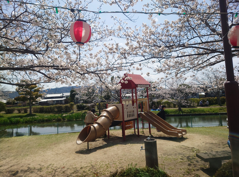 ひょこたん池公園