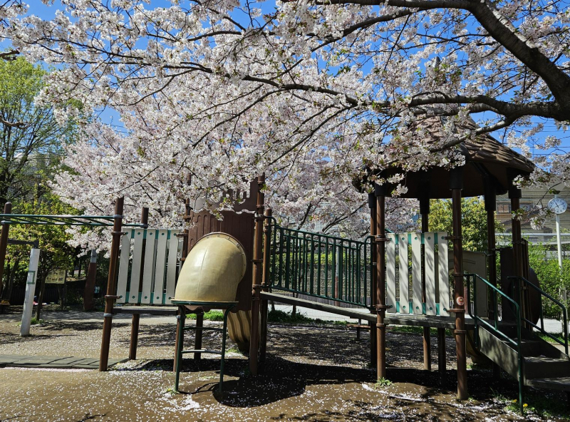 北馬込わくわく公園