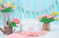 毎月開催！月齢フォト撮影会♪5月のテーマはチューリップ♡｜べびーぷらす