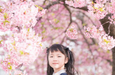 カメラの基礎を学んで、思い通りの写真を撮ろう♡｜べびーぷらす