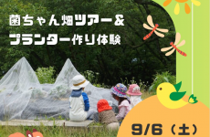 今月はプランター作り体験！いこいの村にて月イチ開催！自然体験とマルシェが一度に楽しめる「まめまるしぇ」
