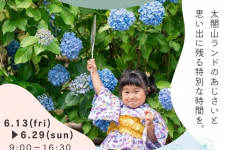 イベント盛りだくさんで今年も開催決定♡約2万株のあじさいが咲き誇る『あじさい祭り in 太閤山ランド』