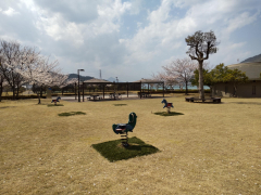 おおい町総合運動公園　プレーパーク大飯
