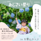 イベント盛りだくさんで今年も開催決定♡約2万株のあじさいが咲き誇る『あじさい祭り in 太閤山ランド』