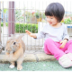 かわいい動物たちと遊ぼう！